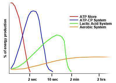 Energy Systems